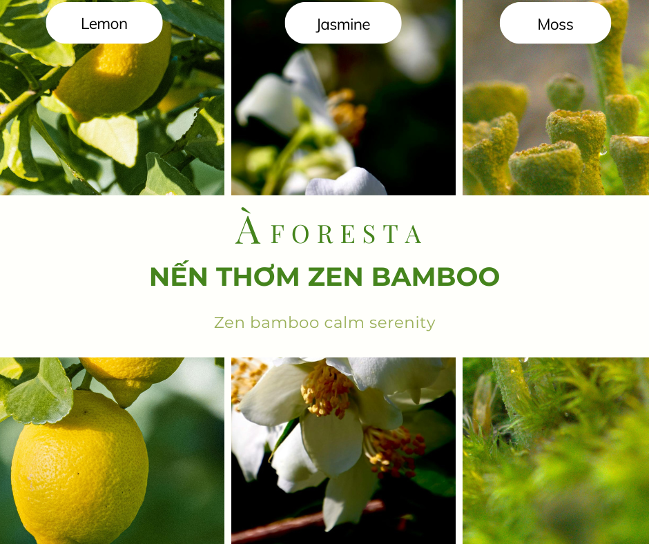Nến Thơm Cao Cấp À FORESTA 150g – Hương Thiền Zen Bamboo-Thơm phòng, thư giãn, quà tặng.