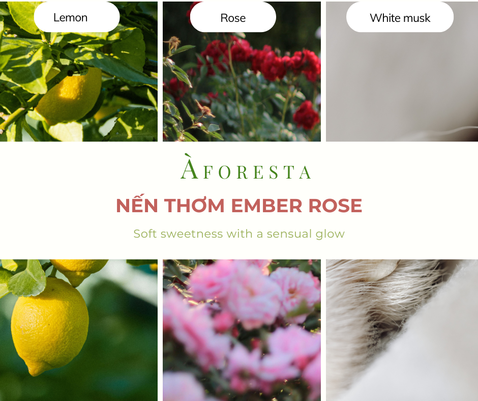 Nến Thơm Cao Cấp À FORESTA 150g – Hương Hoa Hồng Ember Rose-Thơm phòng, thư giãn, quà tặng.