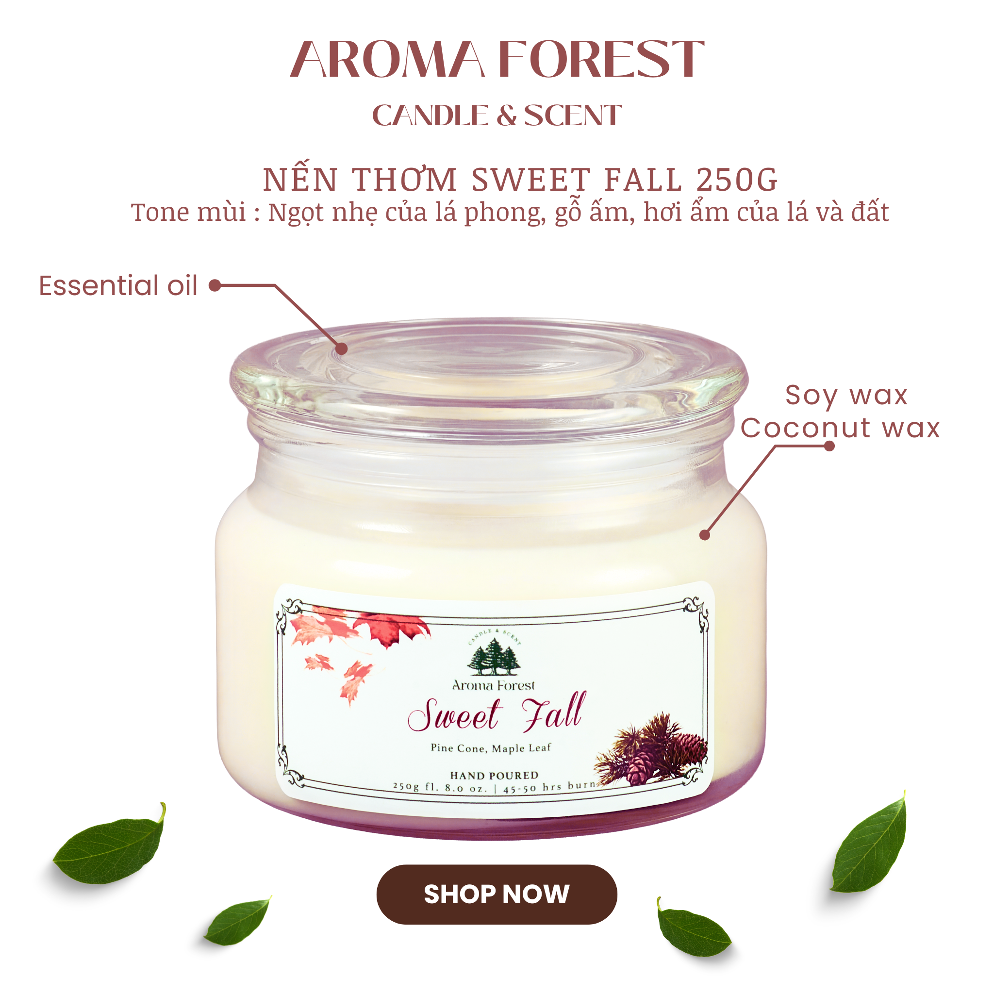 Nến Thơm Cao Cấp Aroma Forest 250g- Hương lá phong Sweet Fall