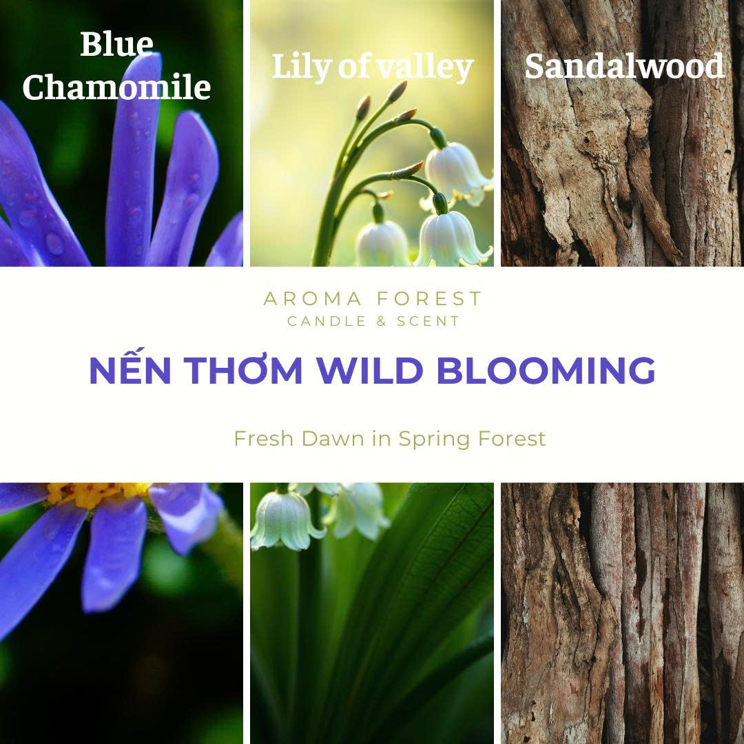 Nến Thơm Cao Cấp Aroma Forest 250g - Hương hoa tươi mới Wild Blooming.