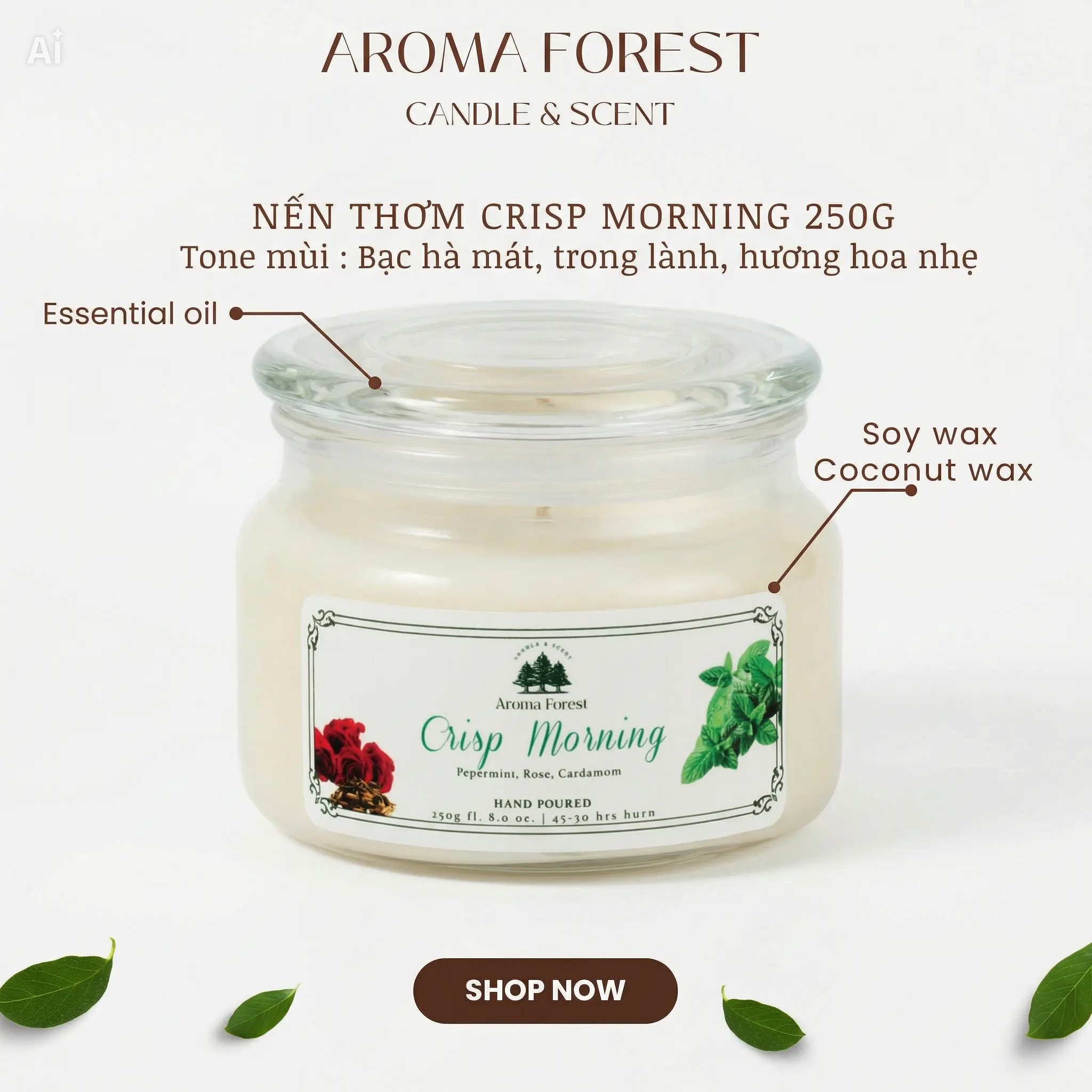 Nến Thơm Cao Cấp Aroma Forest 250g - Hương bạc hà Crisp Morning 