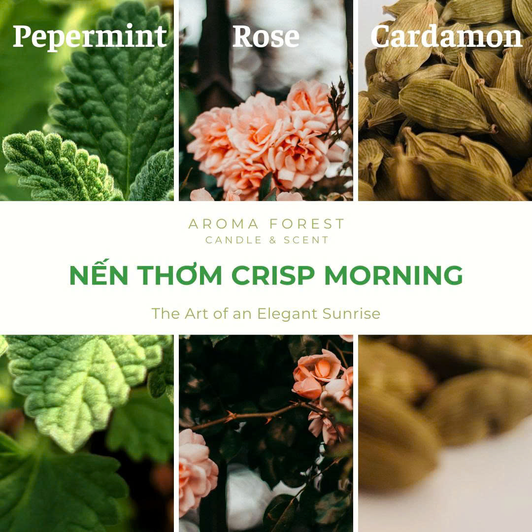 Nến Thơm Cao Cấp Aroma Forest 250g - Hương bạc hà Crisp Morning 