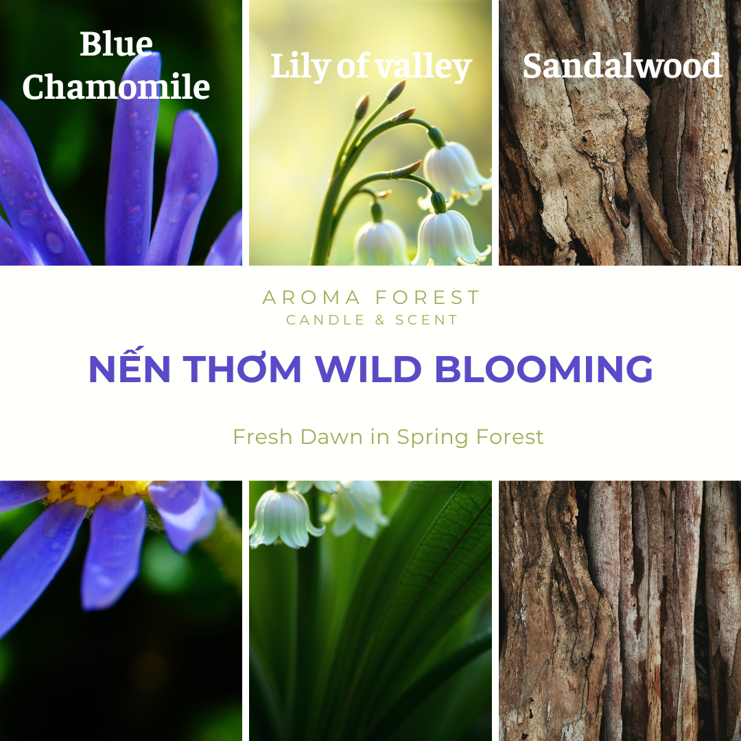 Nến Thơm Cao Cấp Aroma Forest 90g - Hương hoa tươi mới Wild Blooming