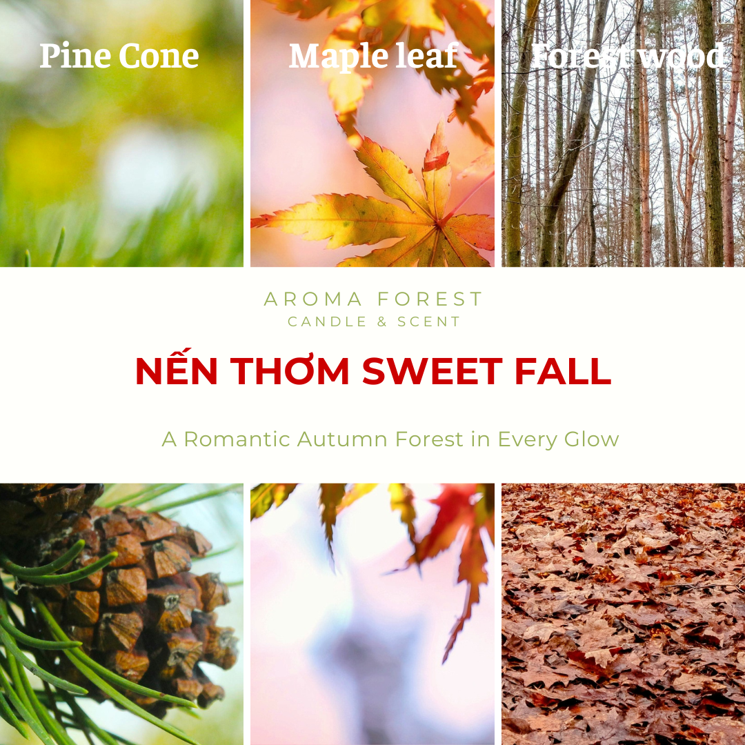 Nến Thơm Cao Cấp Aroma Forest 90g- Hương lá phong Sweet Fall
