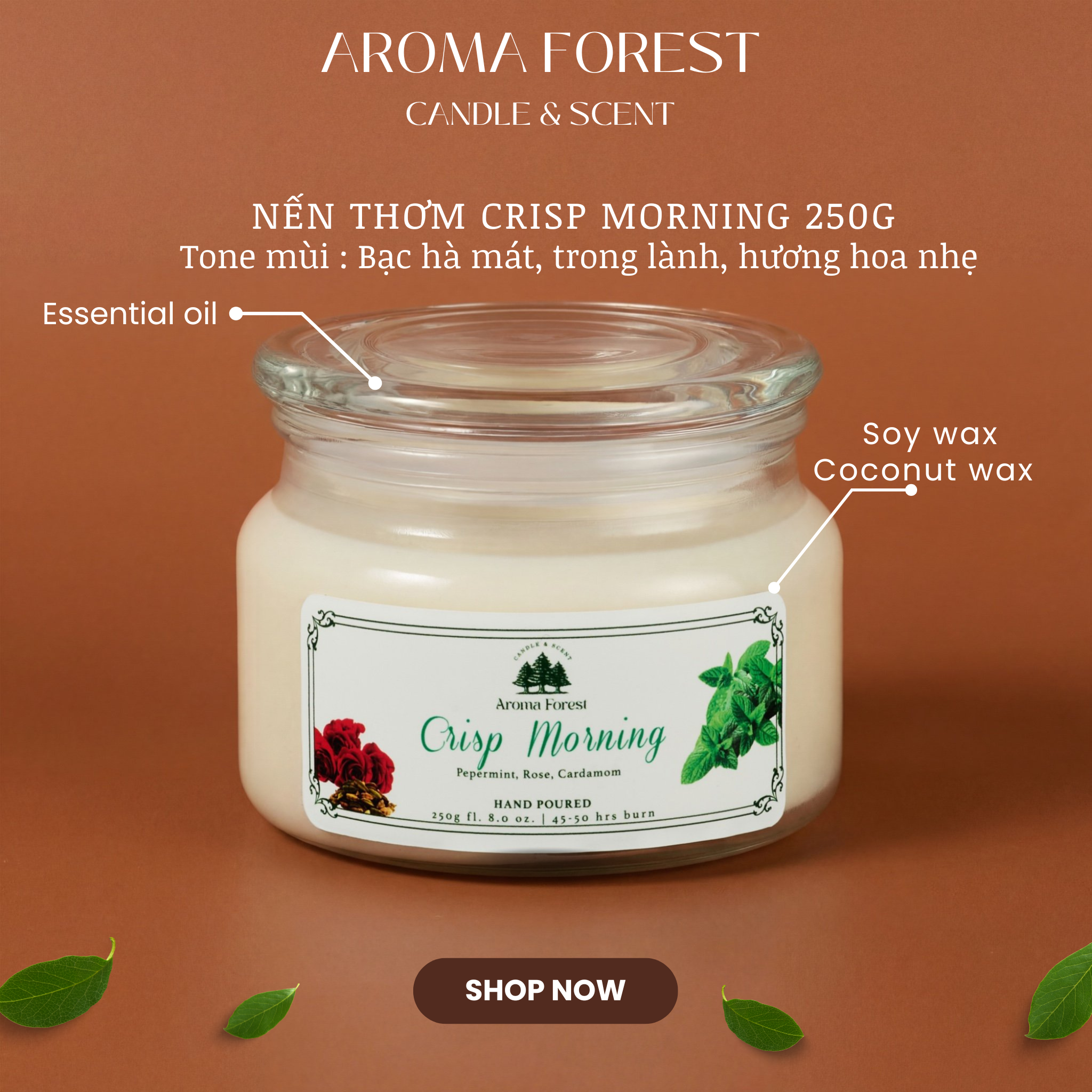 Set Quà tặng 01 nến thơm Aroma Forest 250g nhiều mùi hộp nắp cài trang trí nơ, quả thông