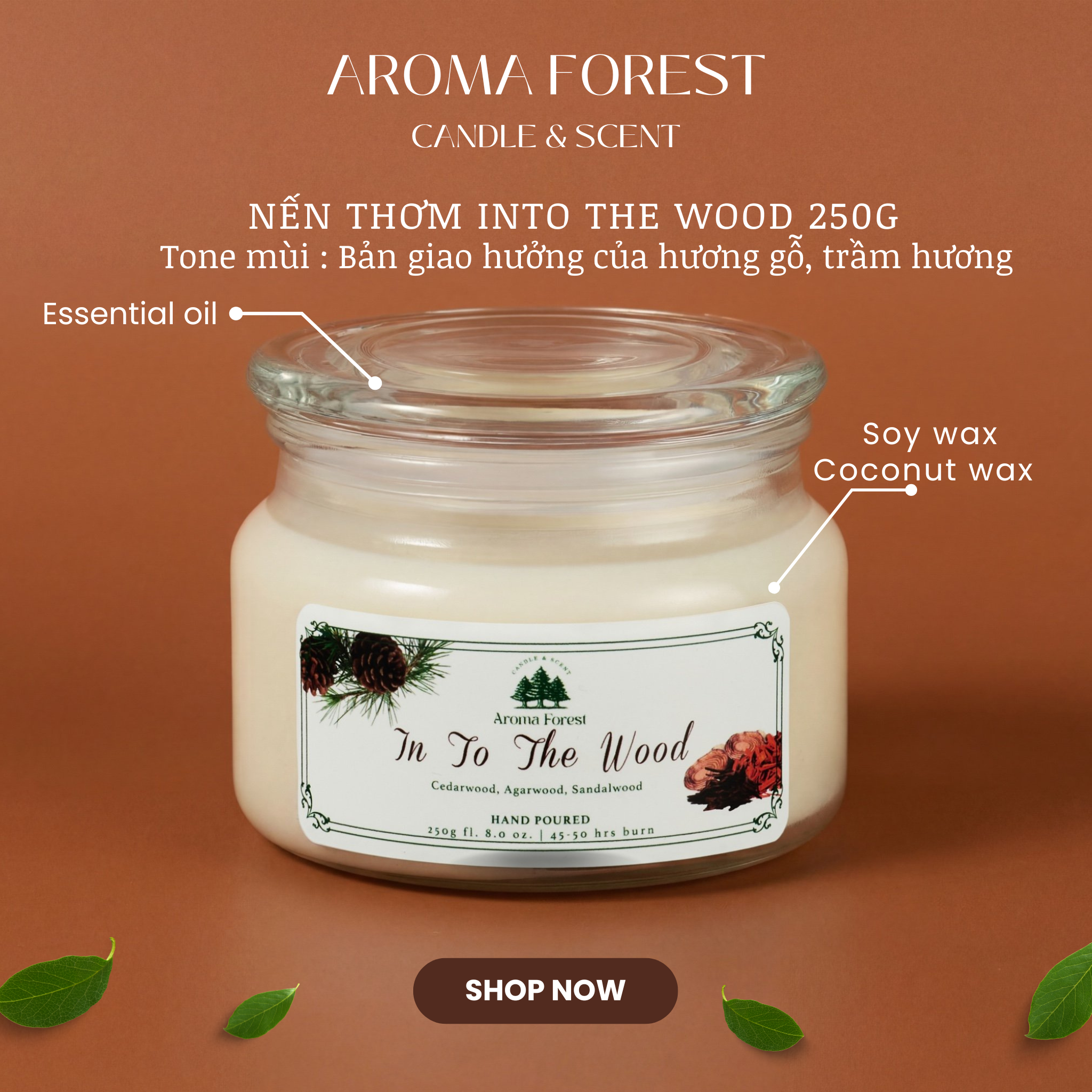 Set Quà tặng 01 nến thơm Aroma Forest 250g nhiều mùi hộp nắp cài trang trí nơ, quả thông