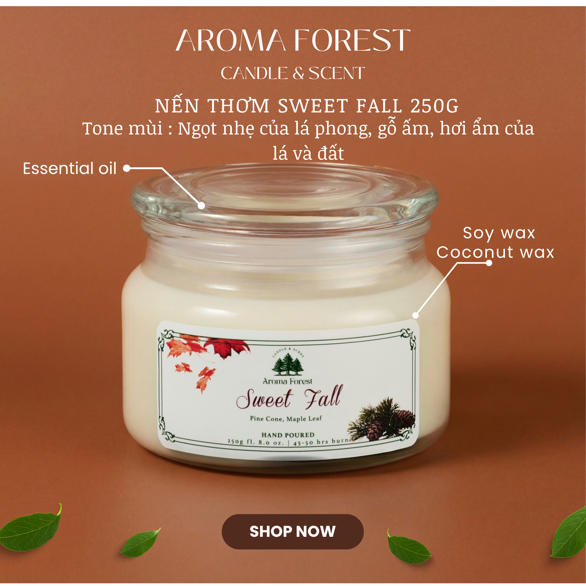 Set Quà tặng 01 nến thơm Aroma Forest 250g nhiều mùi hộp nắp cài trang trí nơ, quả thông