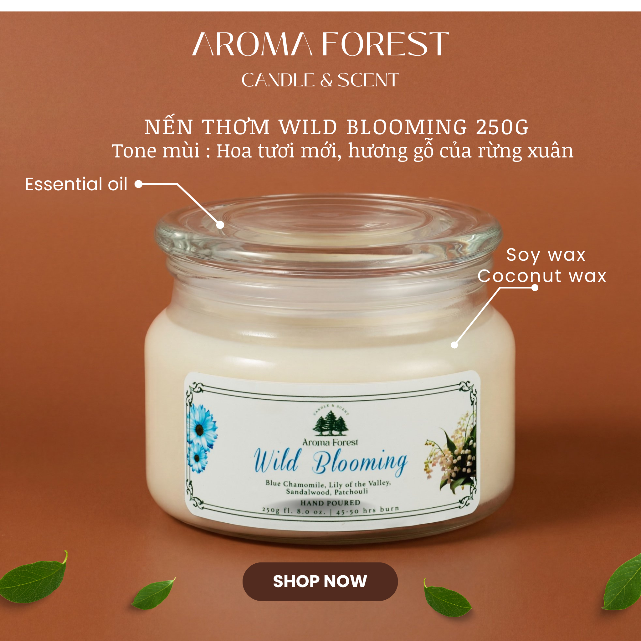 Set Quà tặng 01 nến thơm Aroma Forest 250g nhiều mùi hộp nắp cài trang trí nơ, quả thông